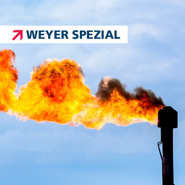 Cover sheet weyer special Simulation of flare systems