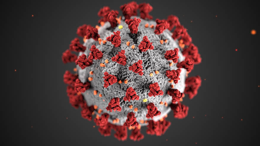 animierte Darstellung des Coronavirus